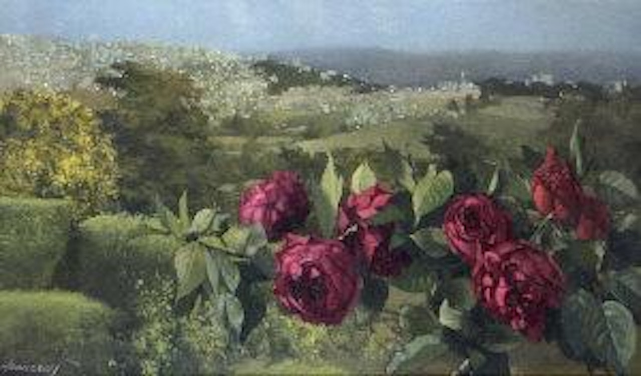 Twilight roses, Tangier by Patrick Hennessey
