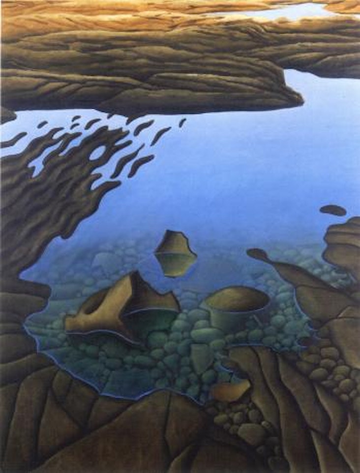 Rock pools by Michael Smither