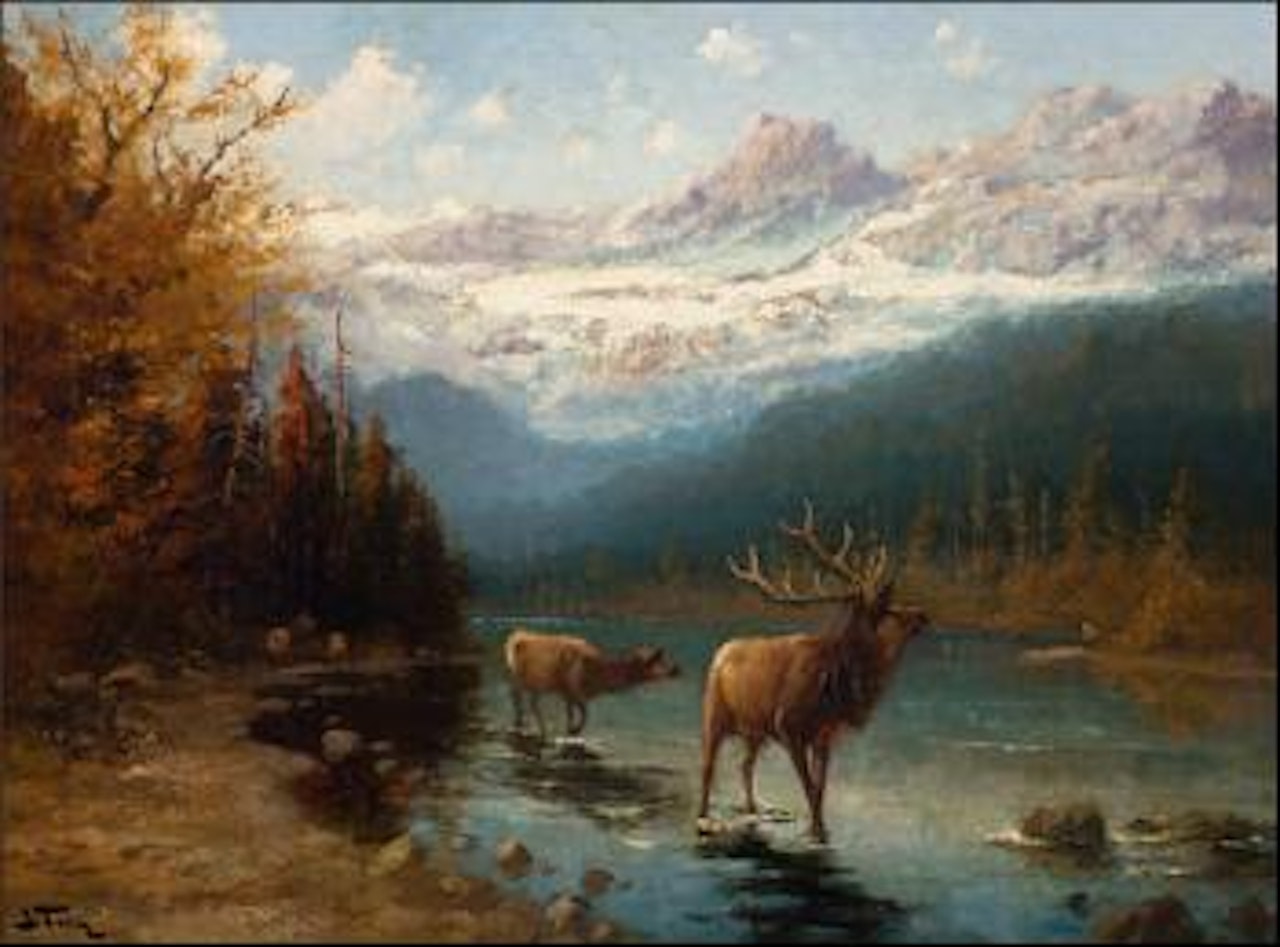 Glacier elk by John Fery