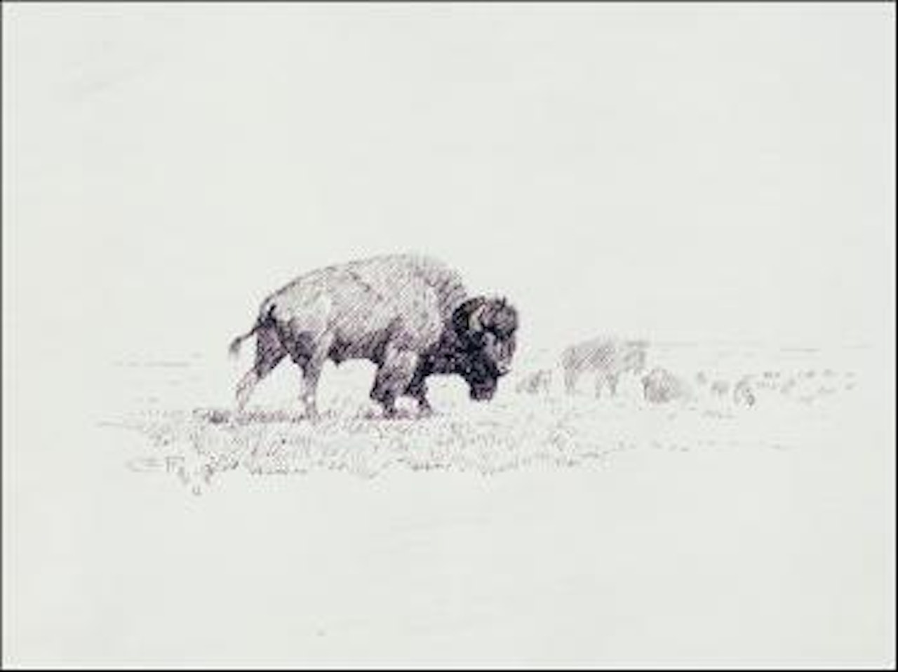 Lords of the Yellowstone by Charles M Russell