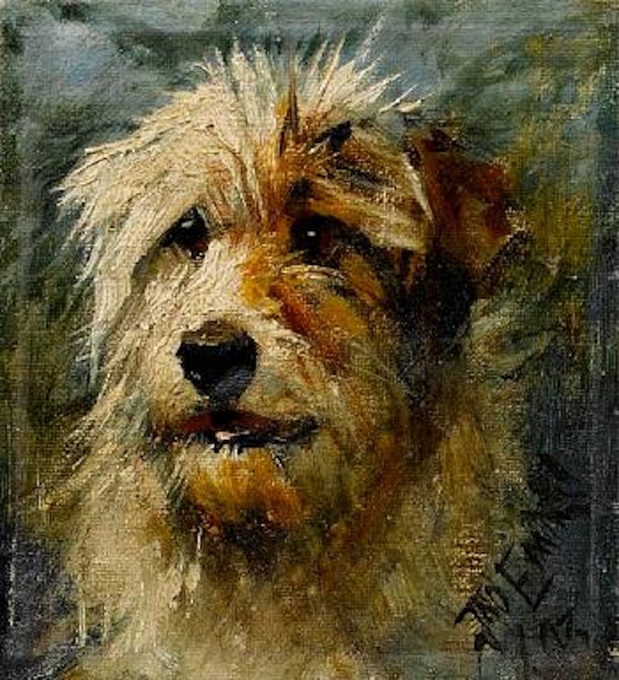 Head of a Terrier by John Emms