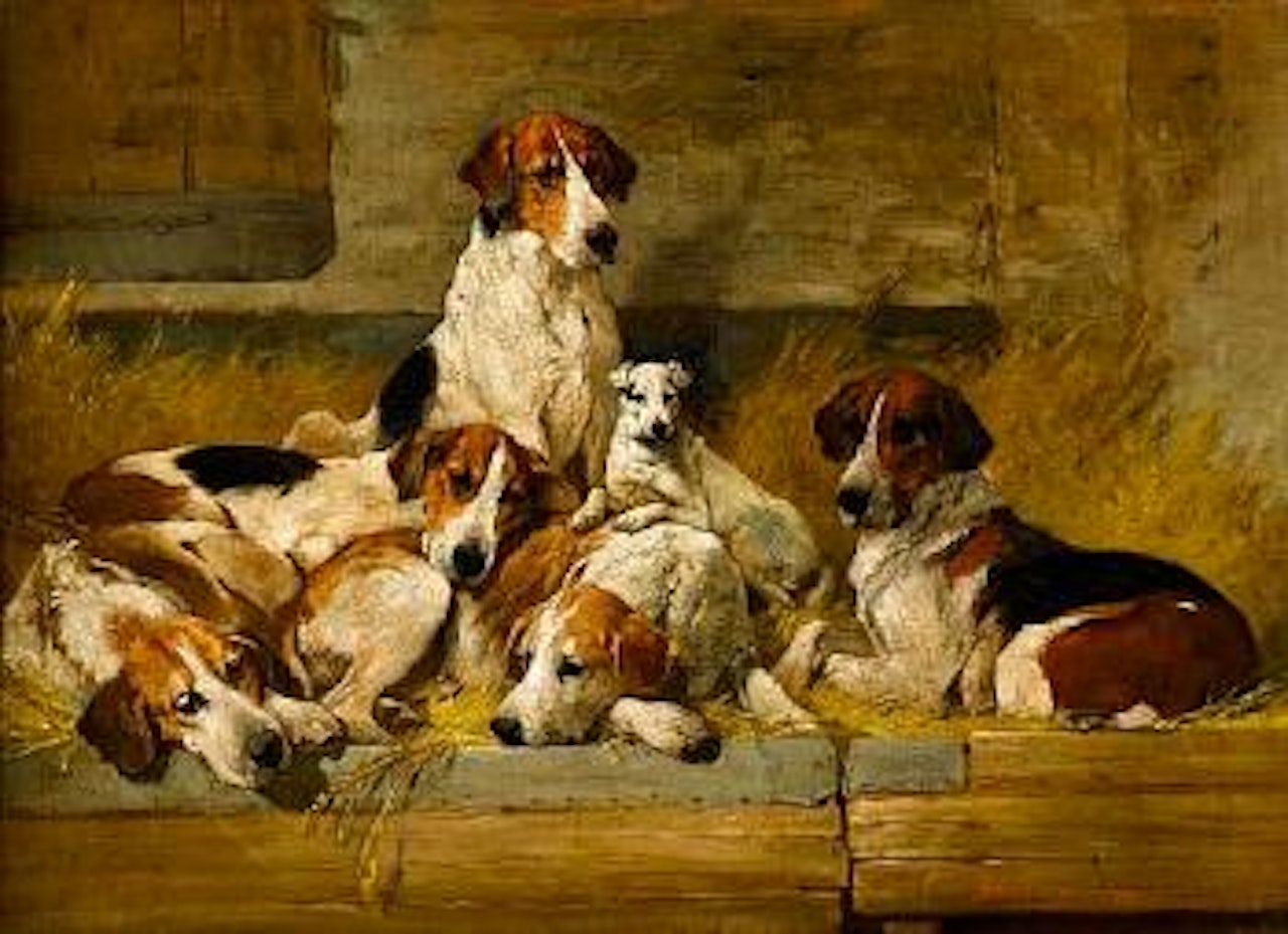 Foxhounds and a hunt Terrier on a bench by John Emms