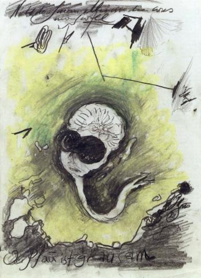 Der Pfau ist grausam by Gunter Brus