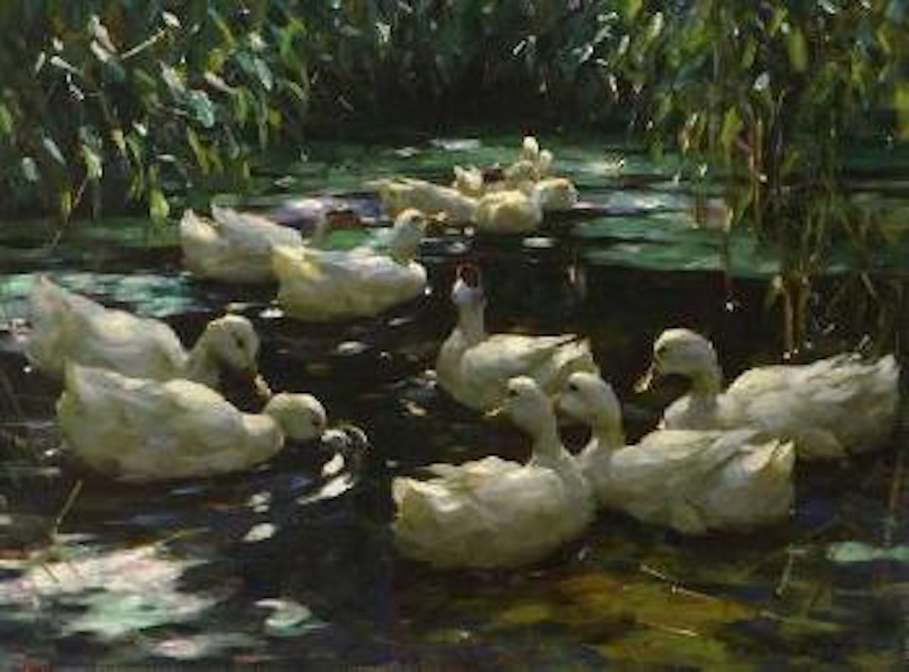 Zwölf Enten im Schilfteich by Alexander Koester