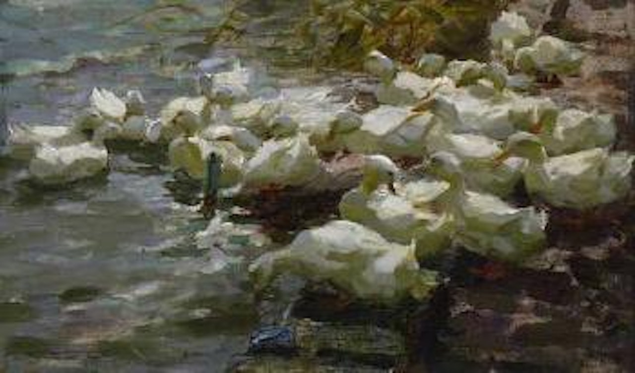 21 weiße Enten im Wasser by Alexander Koester