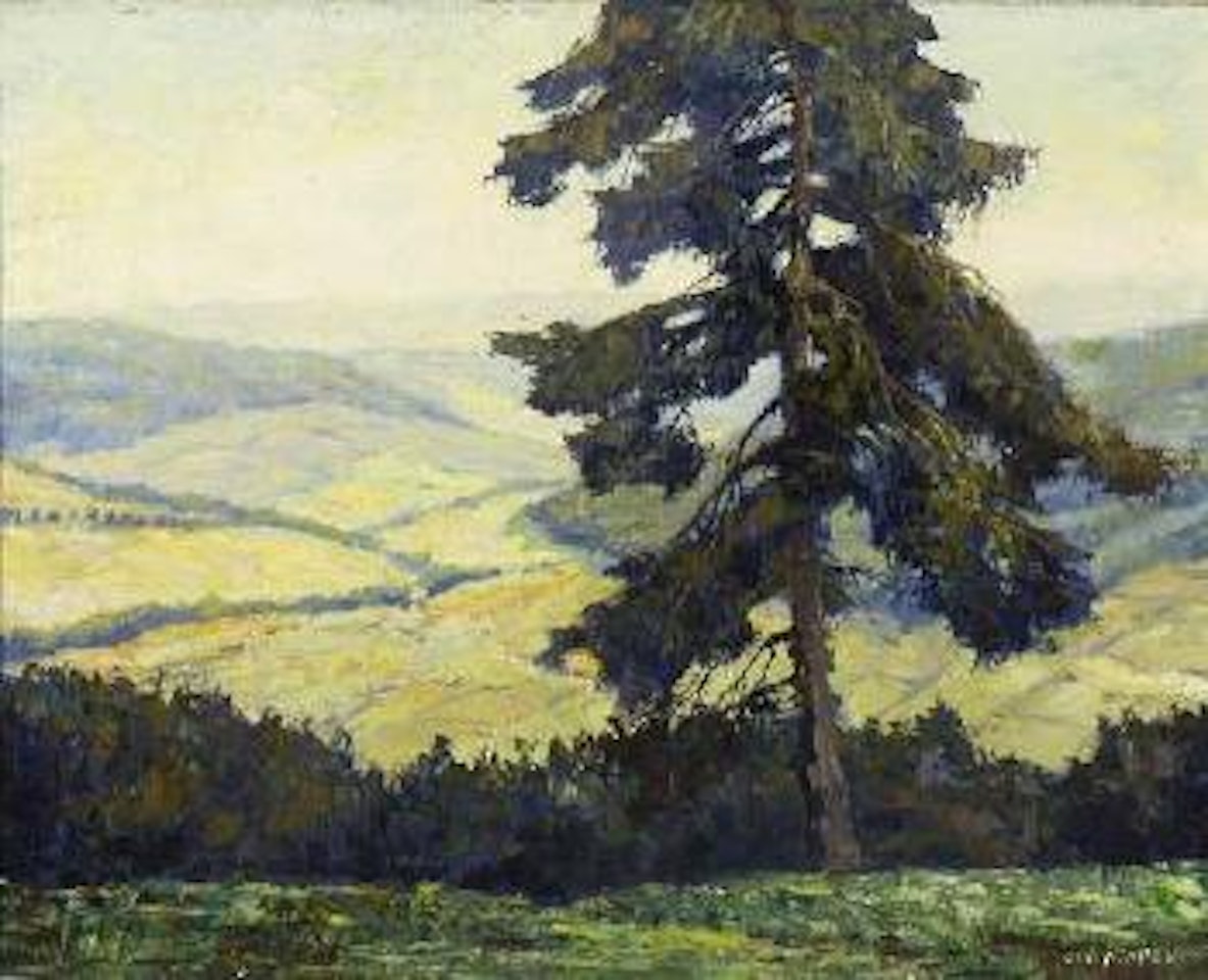 Schwarzwaldtannen im Heubronner Tal by Otto Pippel
