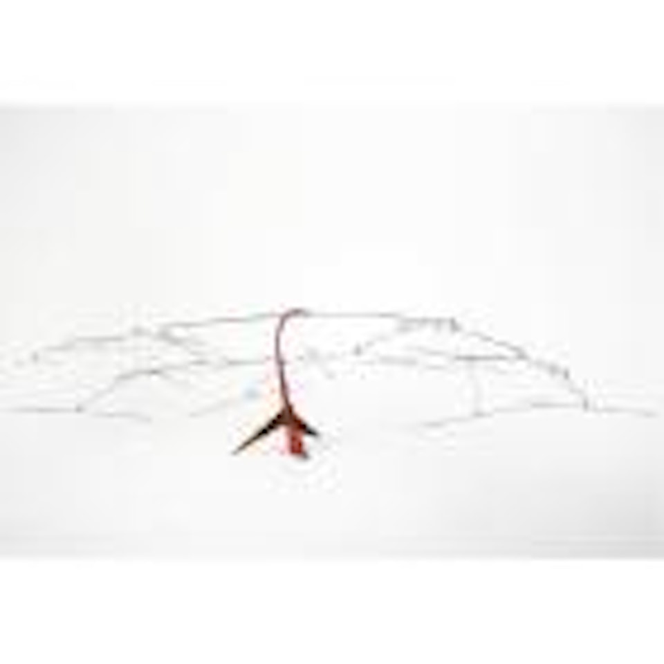 Untitled by Alexander Calder