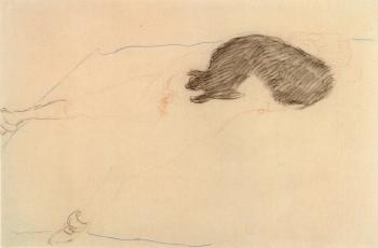 Liegender weiblicher Akt mit Tier by Gustav Klimt