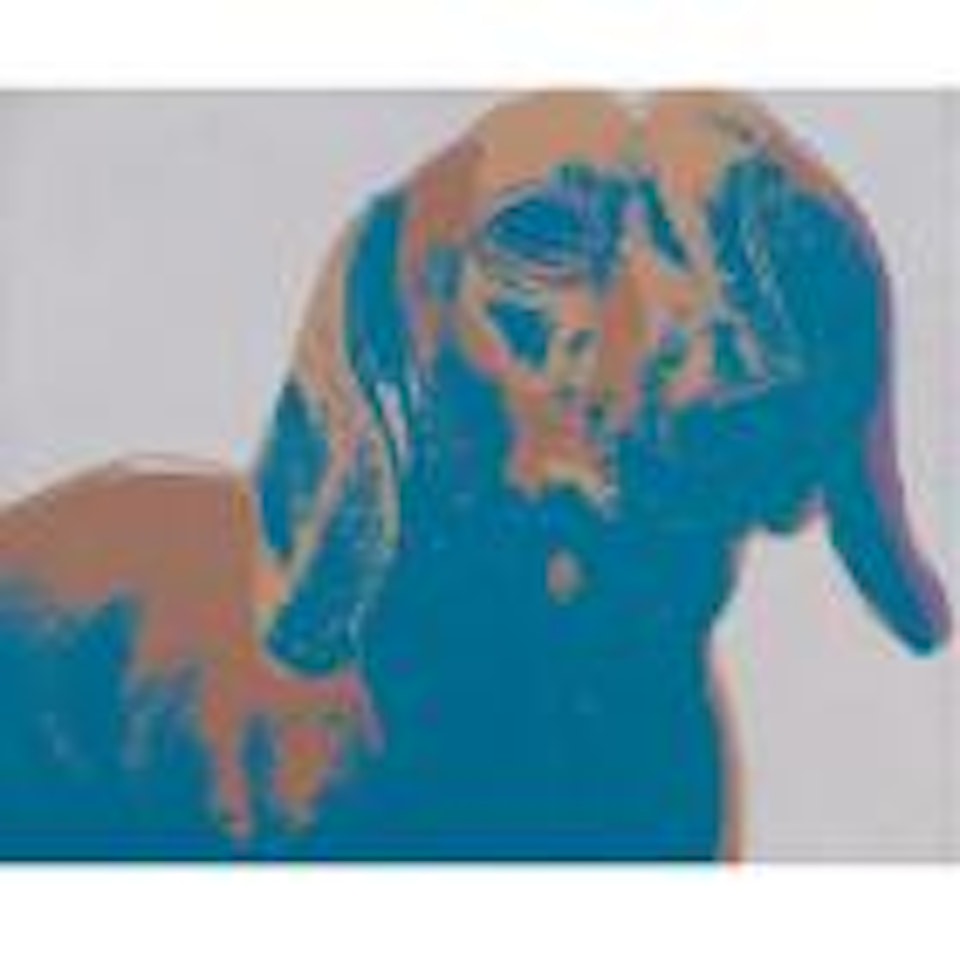 Dog (Dachshund) by Andy Warhol