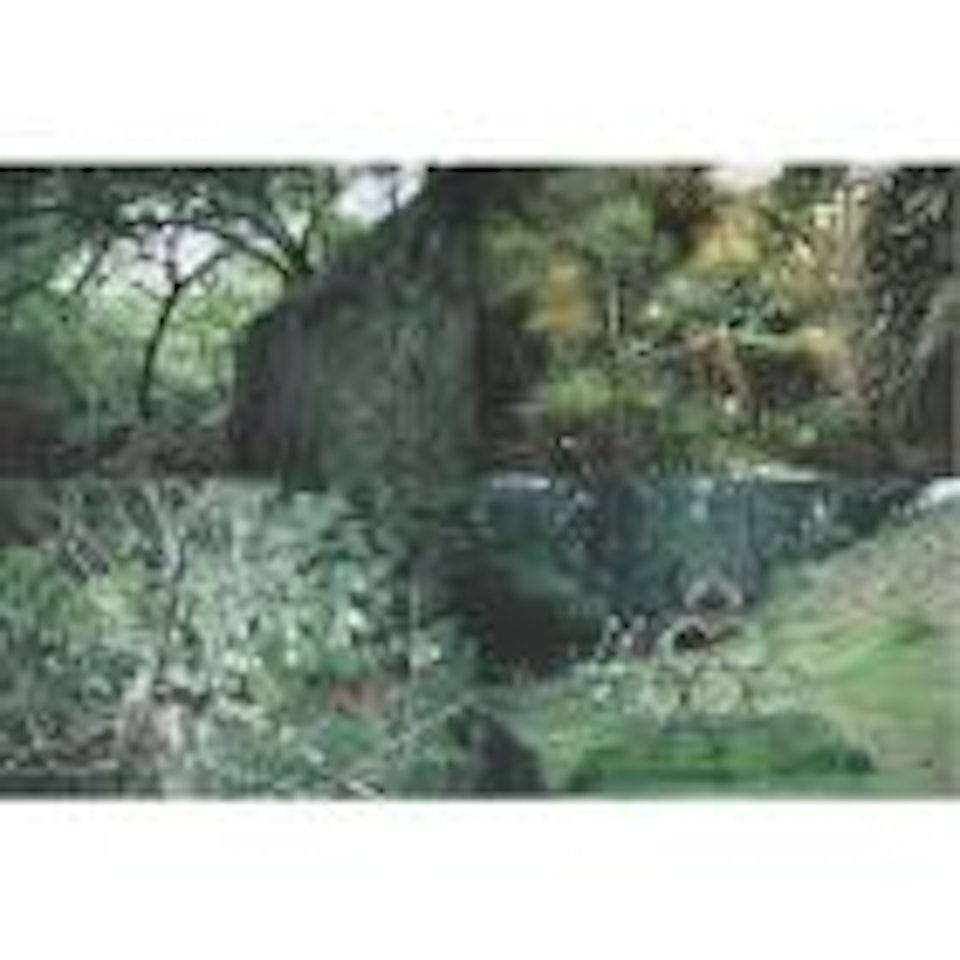 Cuatro parques by Gabriel Orozco