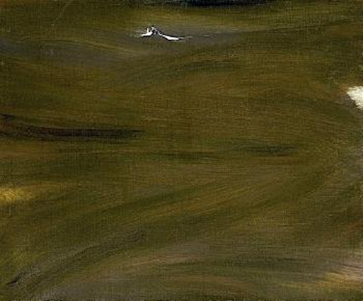 Sombre mouvement leger by Olivier Debre