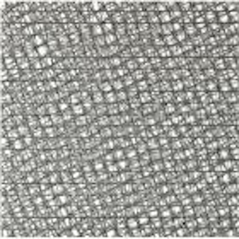 Grillage, 5 Doulbe Trames 0° 10° 20° 30° 40° by Francois Morellet