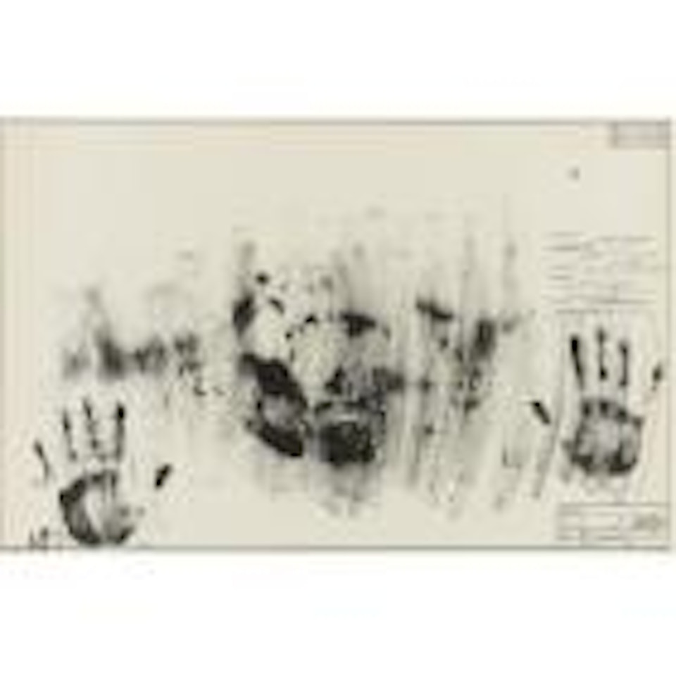 Skin with O'Hara Poem (Ulae 21) by Jasper Johns