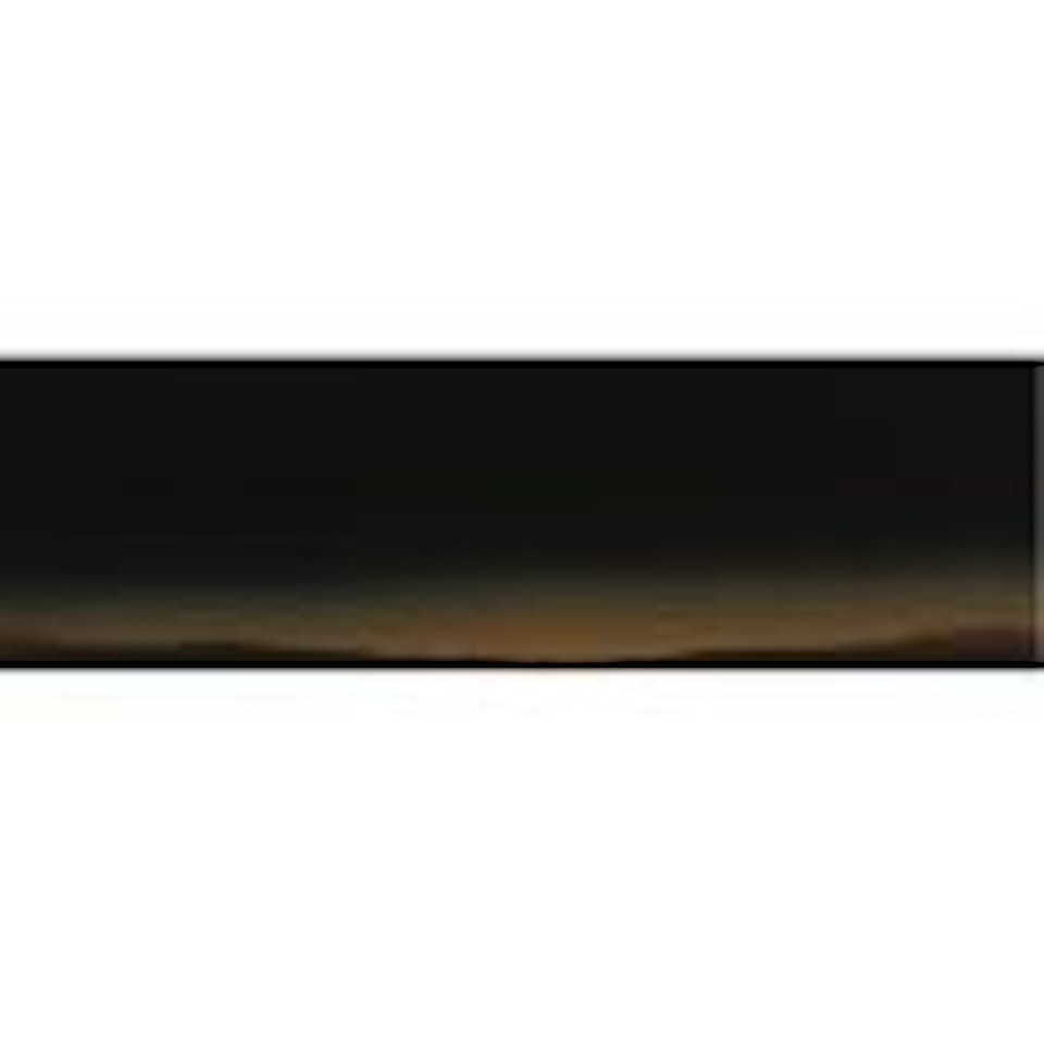 I've never seen two people looking healthier (W.A.C. 100) by Ed Ruscha