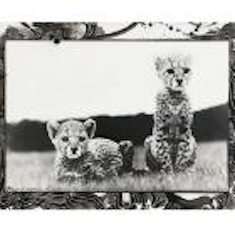 Cheetah orphans at Warden Woodley's in Mweiga (For the end of the game) by Peter Beard
