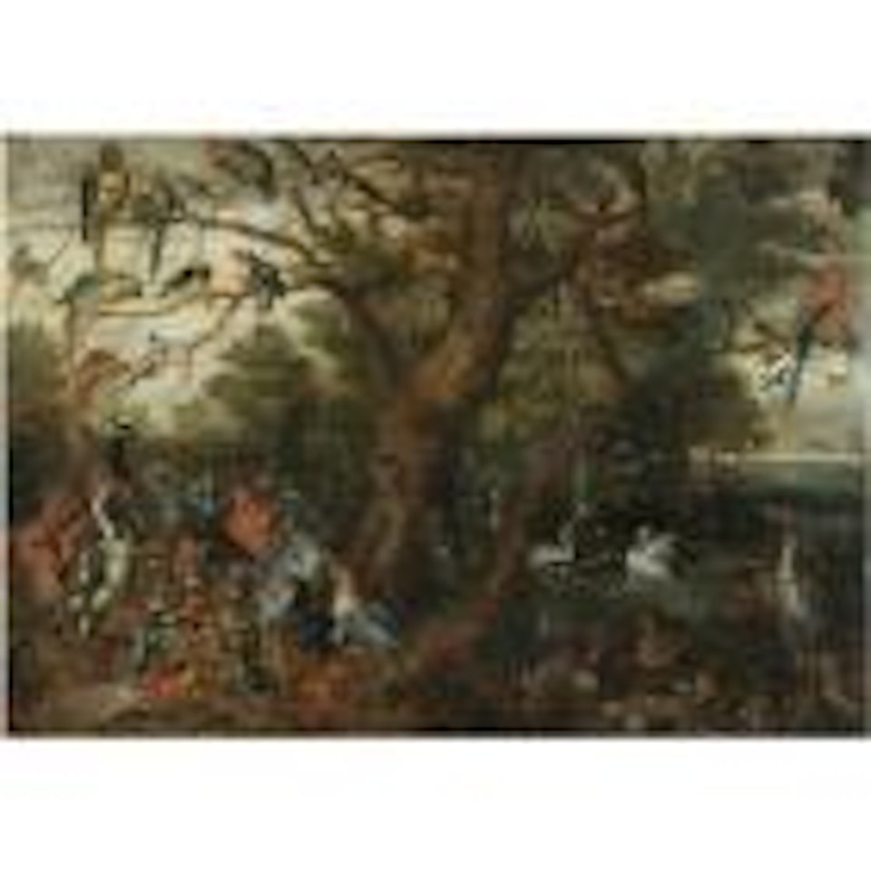 A concert of birds by Jan Van Kessel The Elder