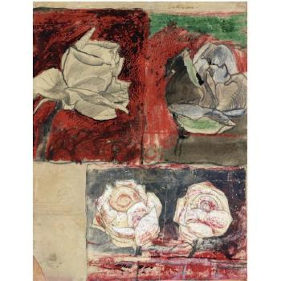 Rose studies by Graham Sutherland