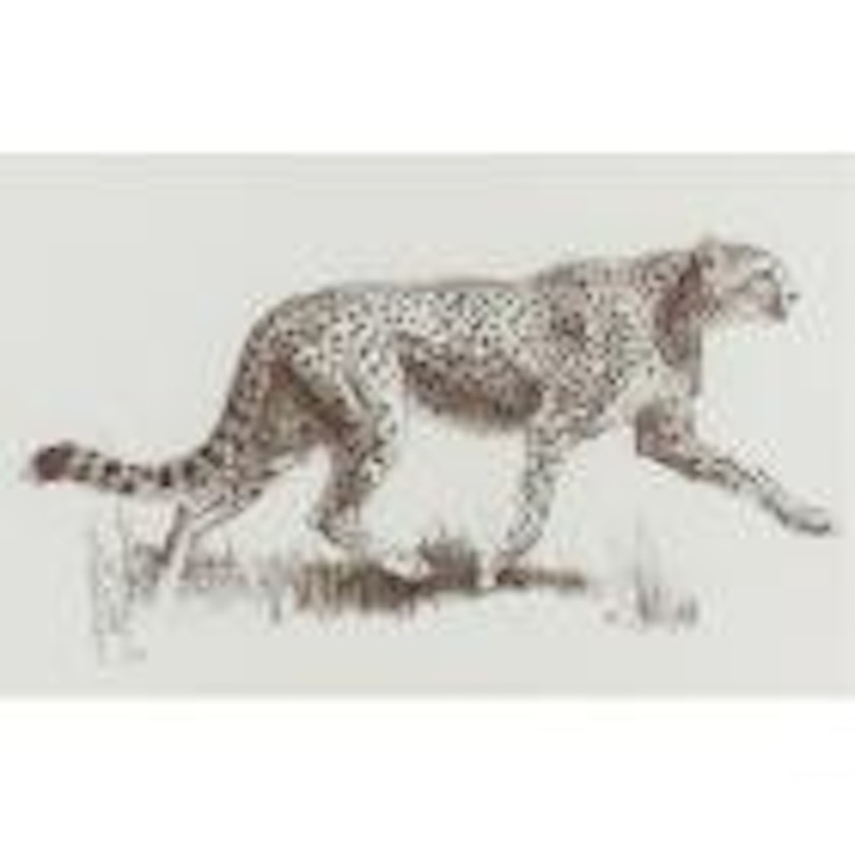 Striding cheetah by Bob Kuhn