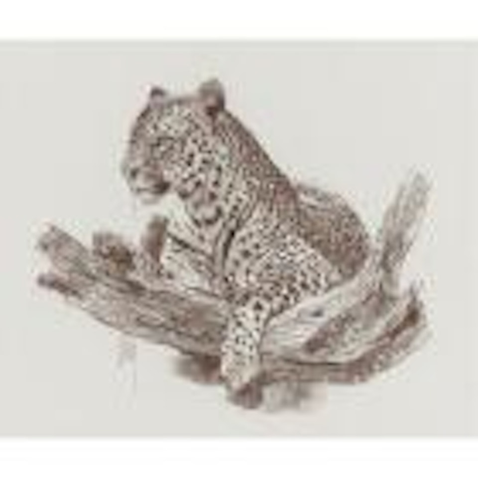 Leopard in a tree by Bob Kuhn