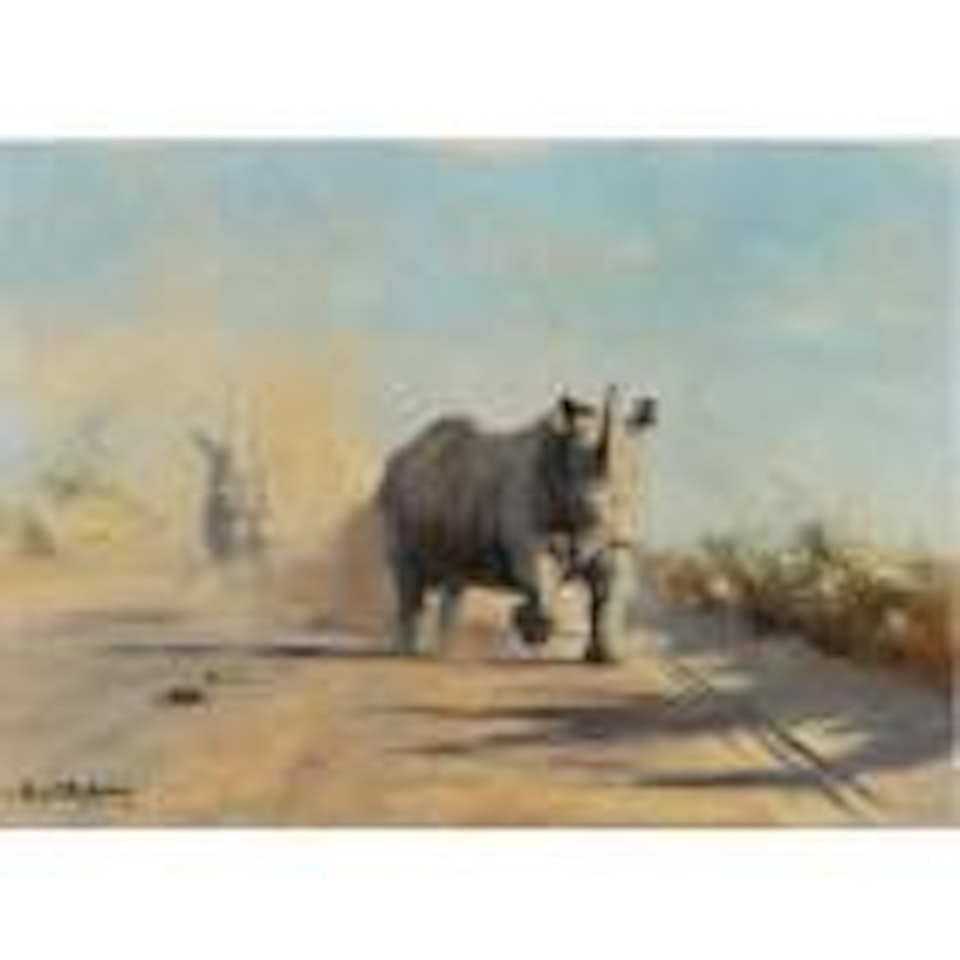 Angry rhinoceros by David Shepherd