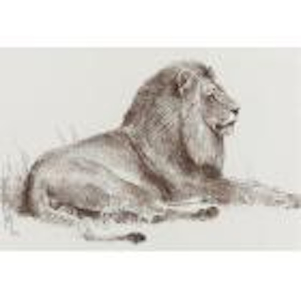 Recumbent African lion by Bob Kuhn