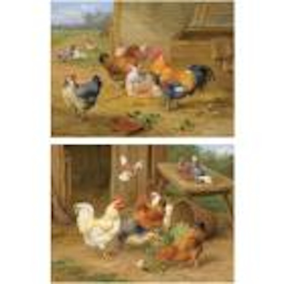 Cockerel and hen. Chickens and pigeons by Edgar Hunt