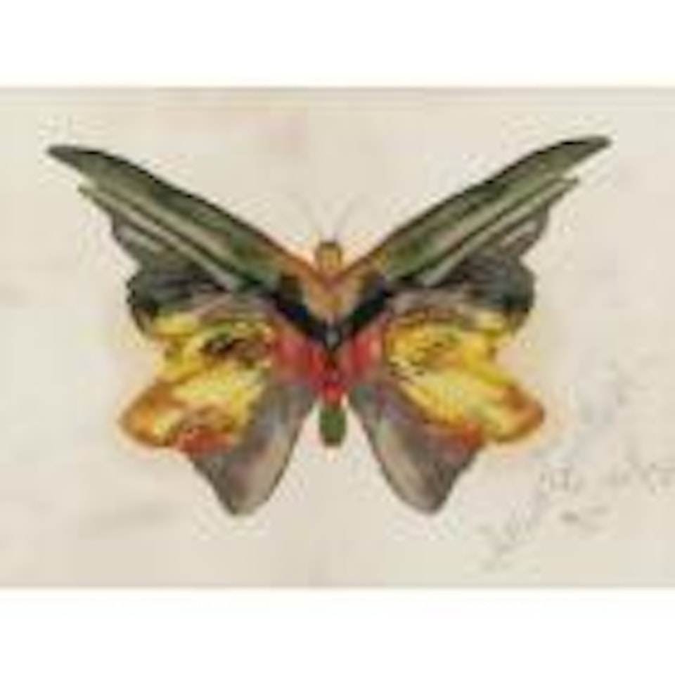 Butterfly by Albert Bierstadt