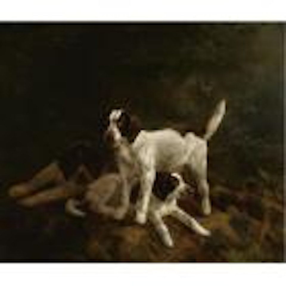 Play time for puppies by Henriette Ronner-Knip