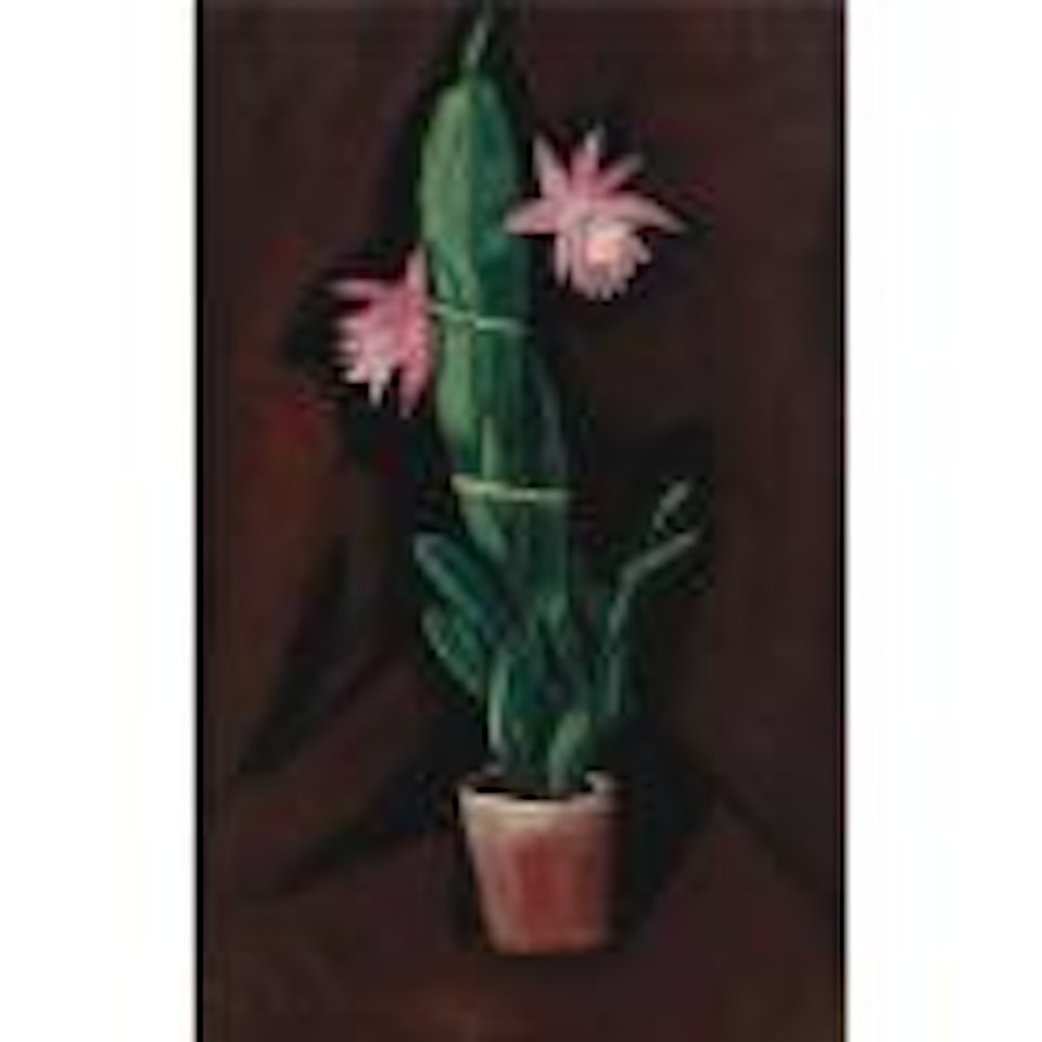 Cerise cactus by Marsden Hartley
