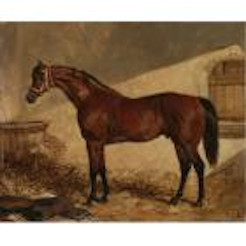 Helman Plattoff by John Frederick Herring