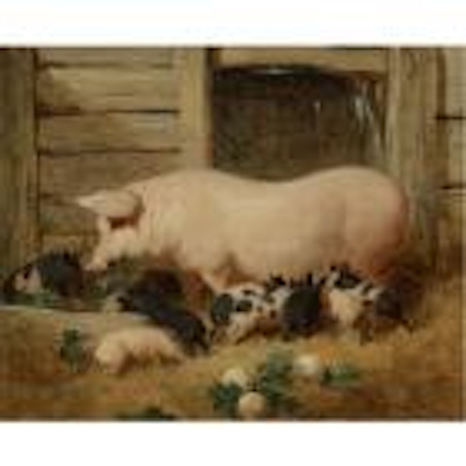 A sow and her litter by John Frederick Herring