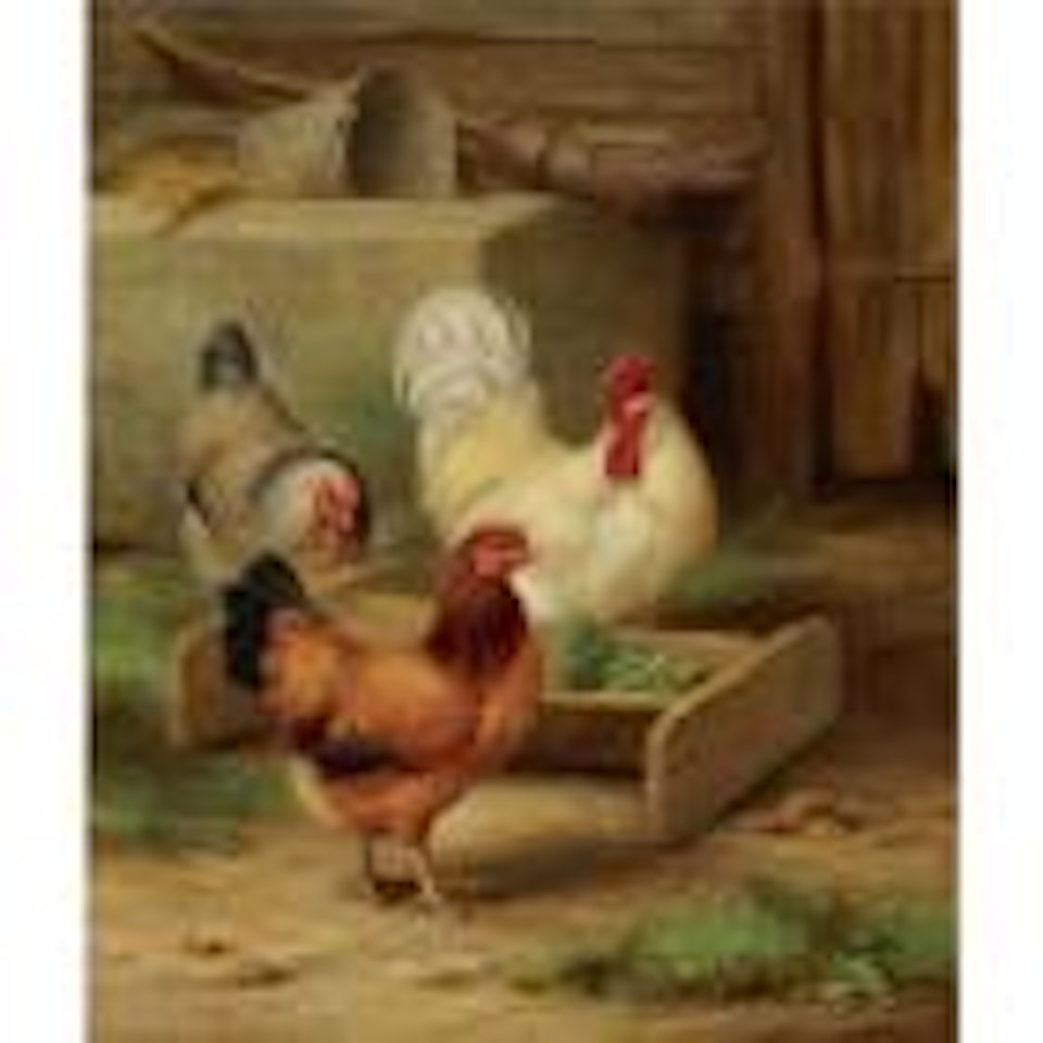 Poultry feeding in a barn by Edgar Hunt