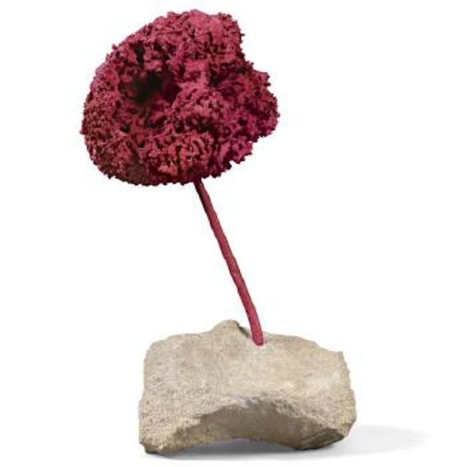SE 200, Rosa by Yves Klein