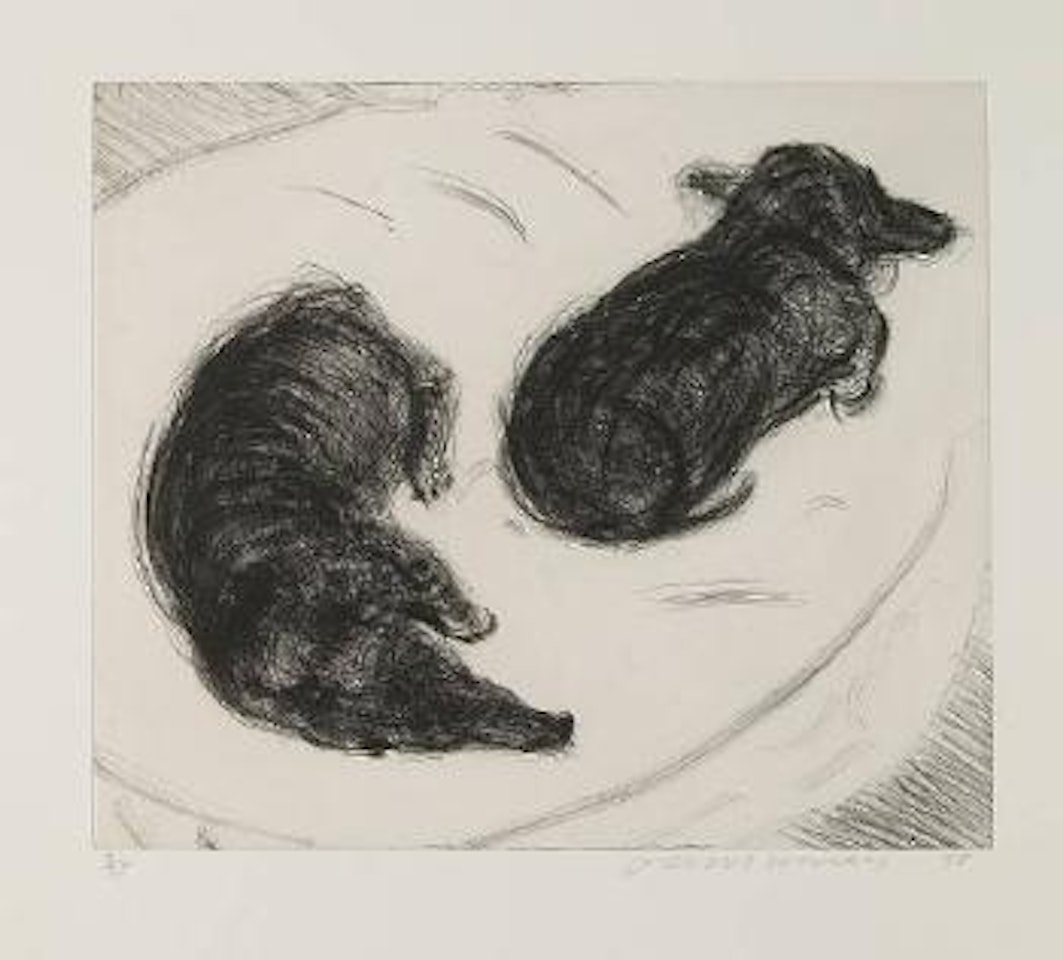 No. 2, from Dog Wall series by David Hockney