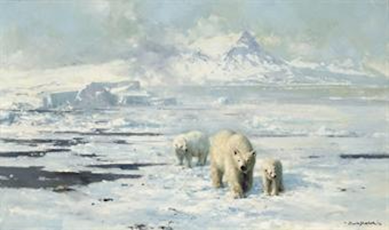 Polar bears in dangerous territory by David Shepherd