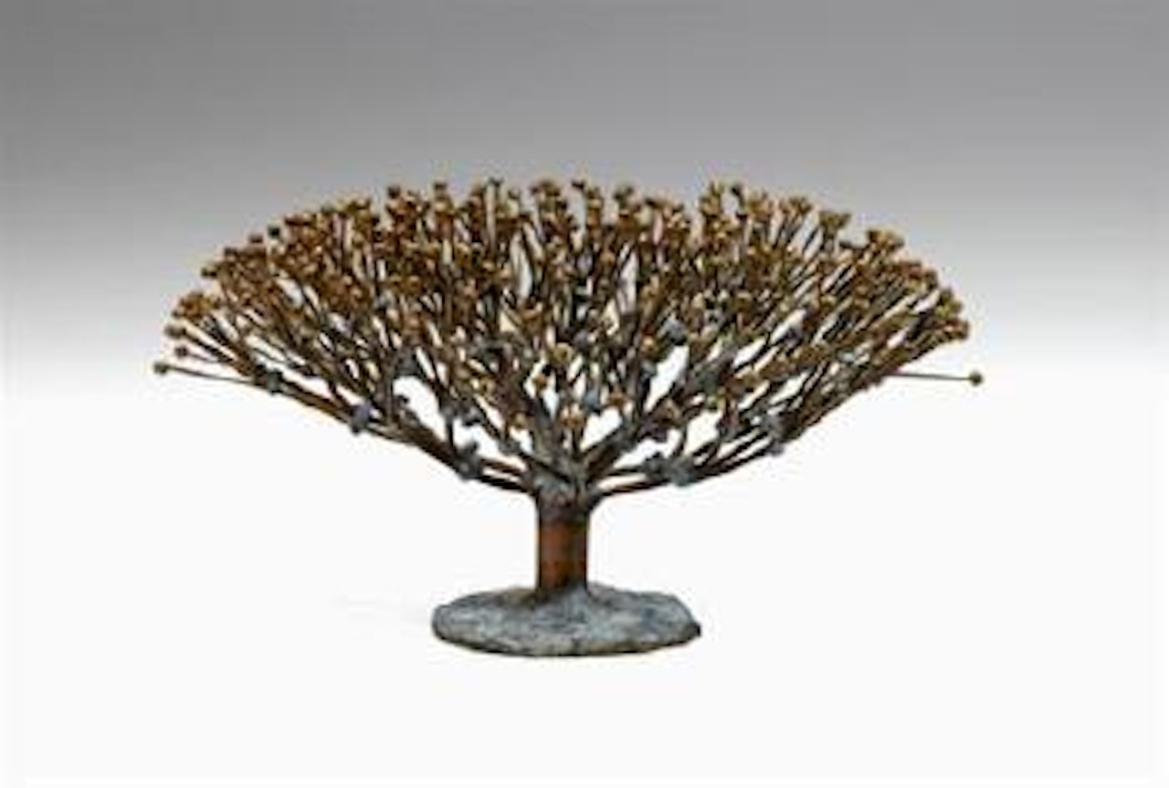 Untitled - bush form by Harry Bertoia