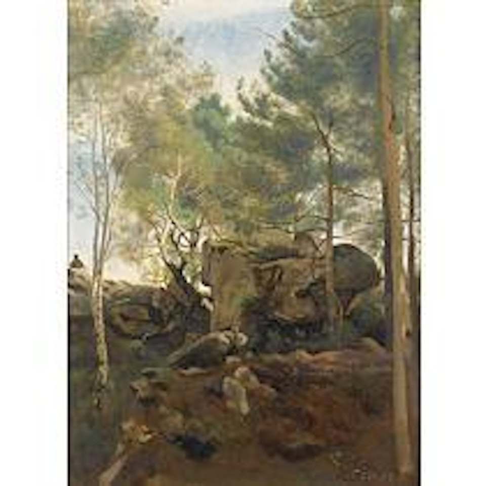 Fontainebleau. Pins et bouleaux dans les rochers by Jean Baptiste Camille Corot