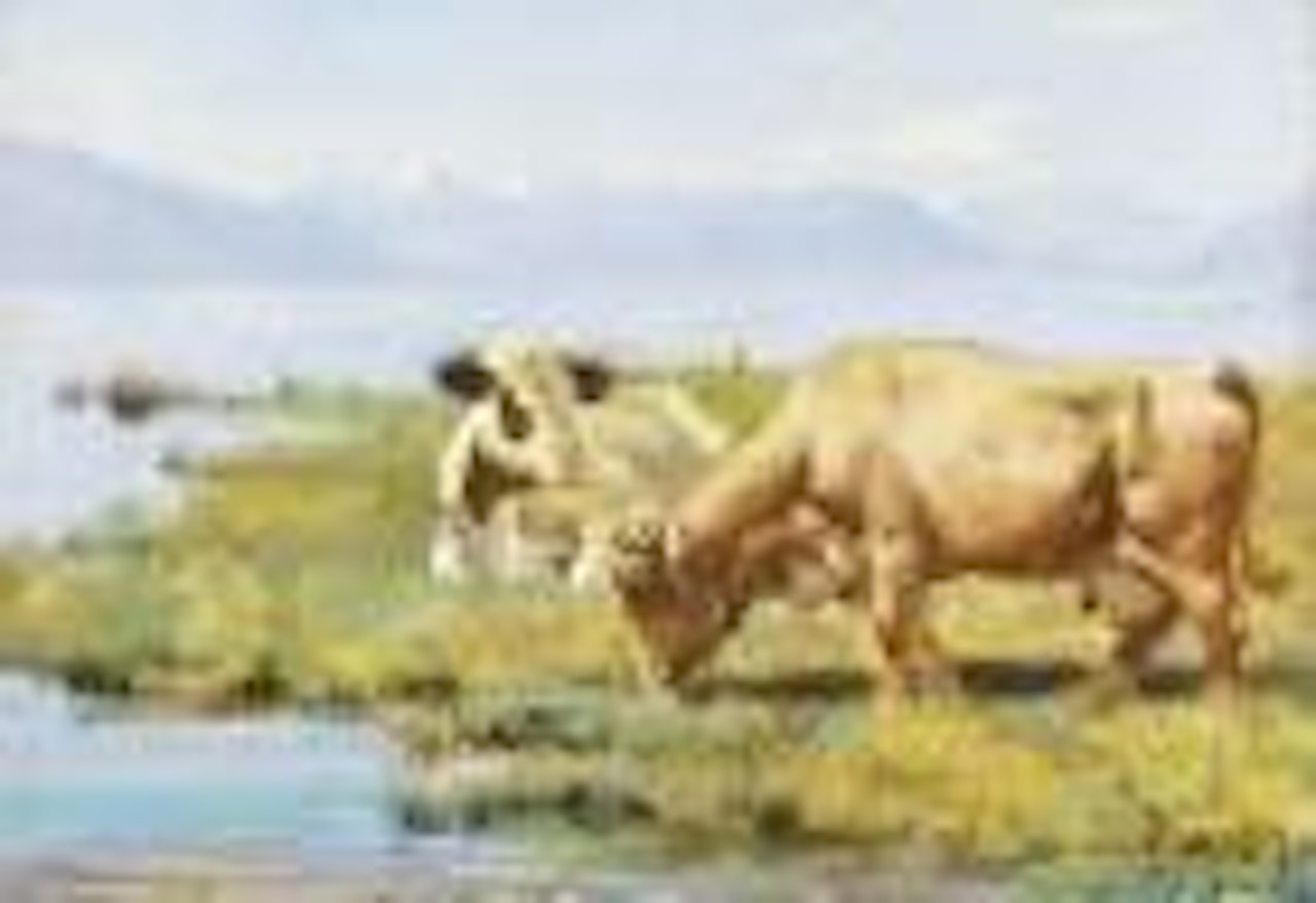 Kuhe am Seeufer by Ferdinand Hodler