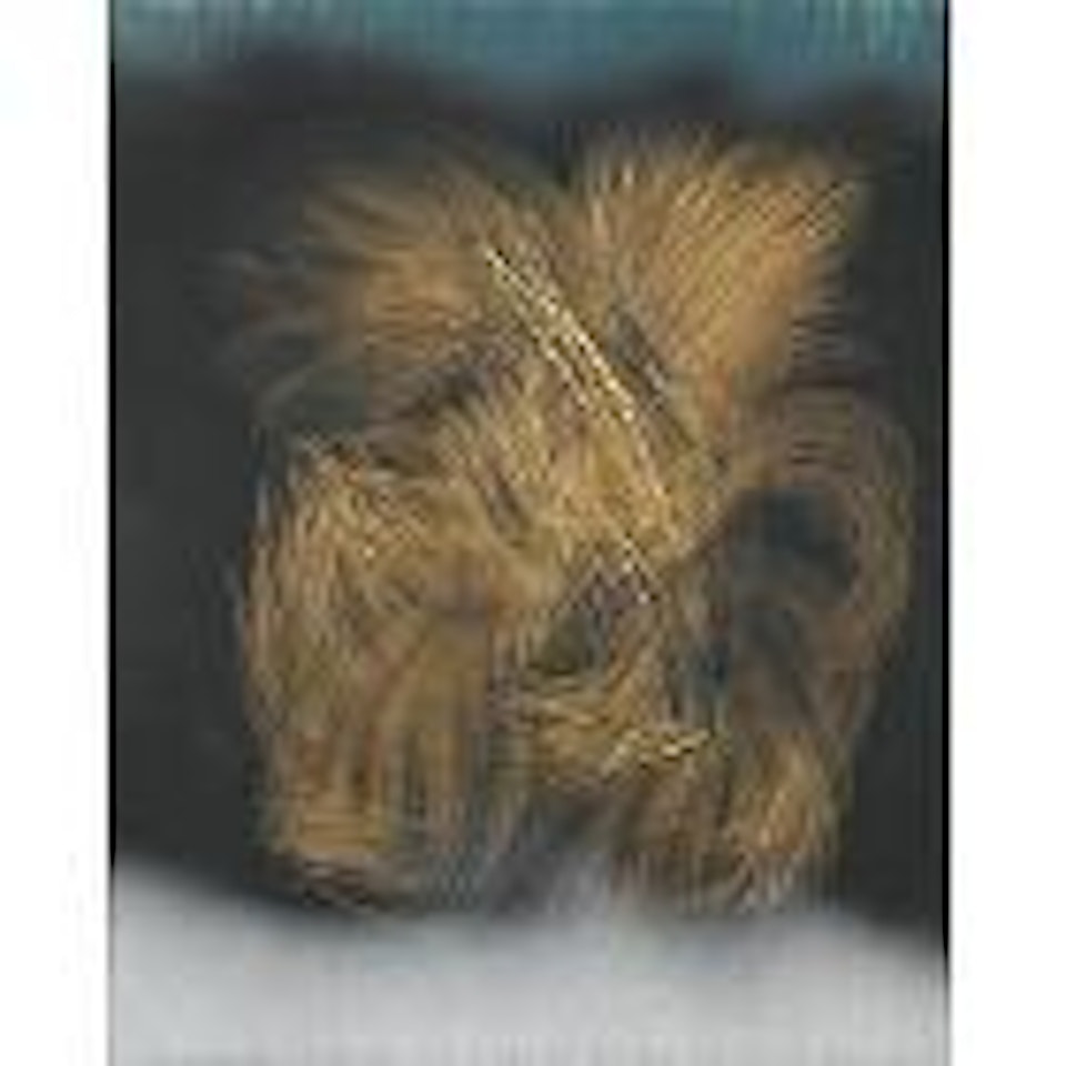 T1964 - E20 by Hans Hartung
