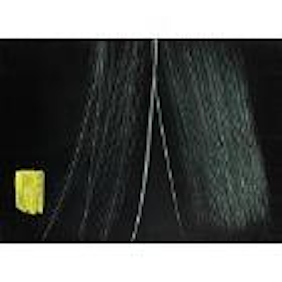 T1970-H7 by Hans Hartung