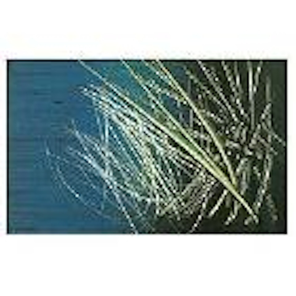 T1962 - A28 by Hans Hartung