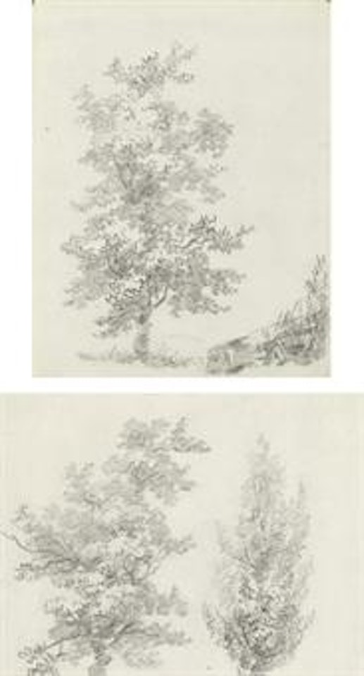 Studies of trees (recto and verso) by Jean-Honoré Fragonard