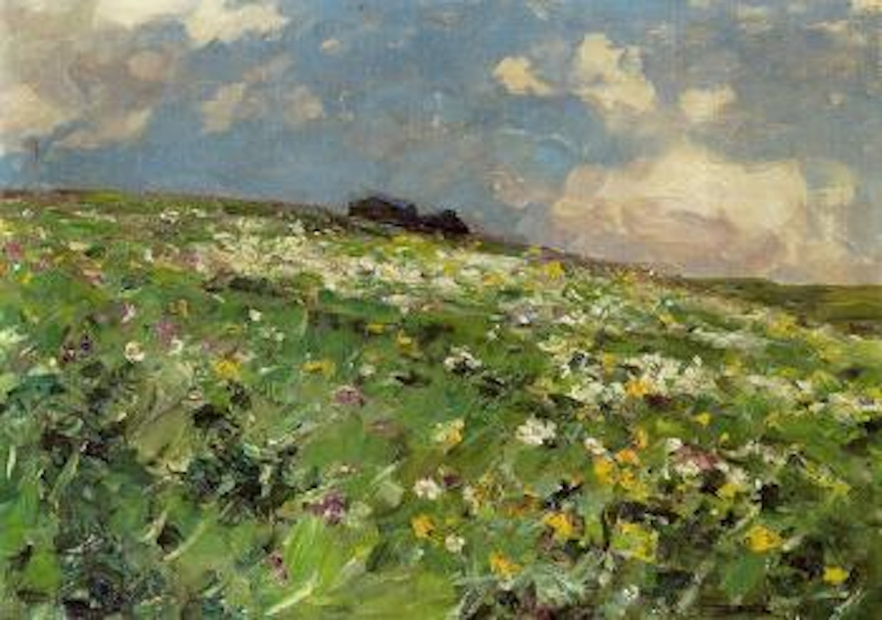 Blumenwiese by Alexander Koester