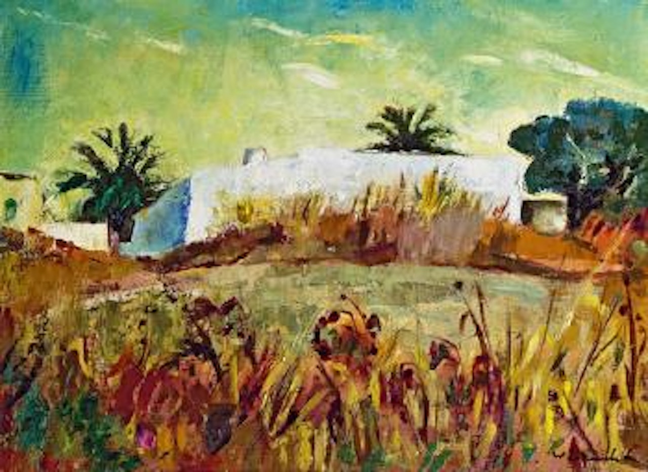 Ibiza by Willy Eisenschitz