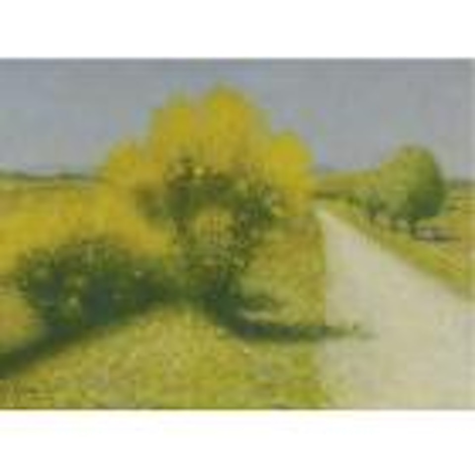 Chemin pres de Cailhau, dans le rozes by Achille Laugé
