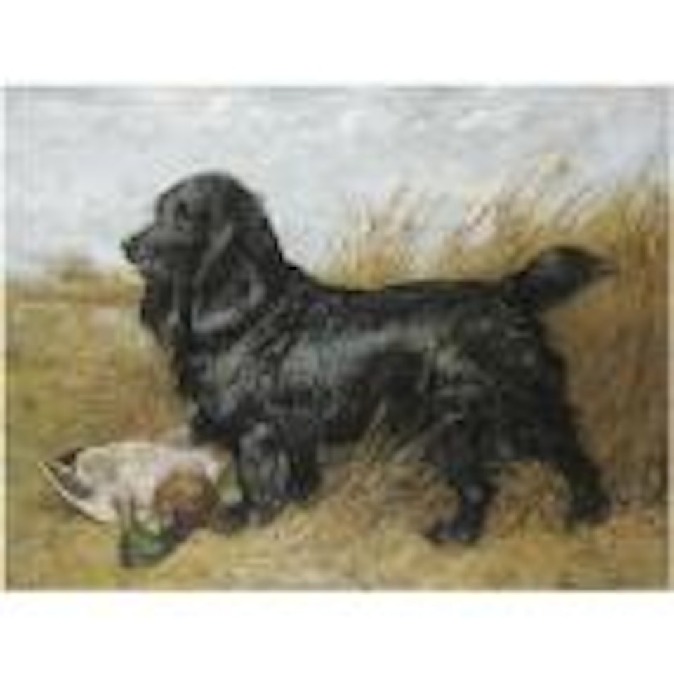 Black spaniel with game by John Emms