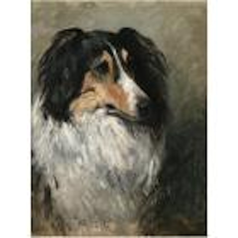 Nellie by John Emms