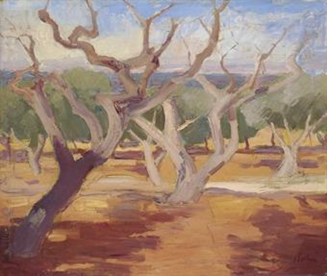 Almond and Olive Trees, Provence by Augustus Edwin John