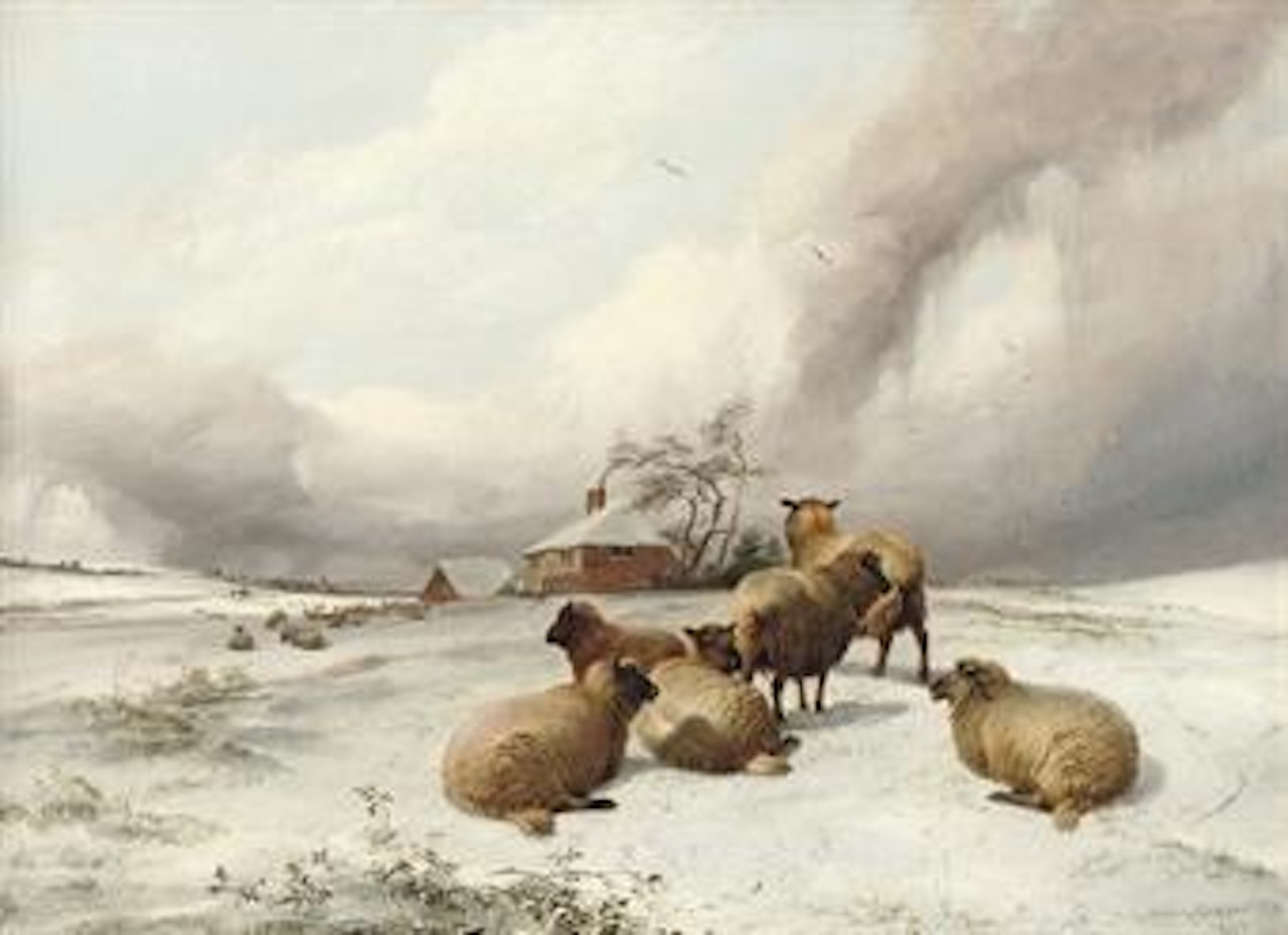 Sheep grazing, mid-winter by Thomas Sidney Cooper