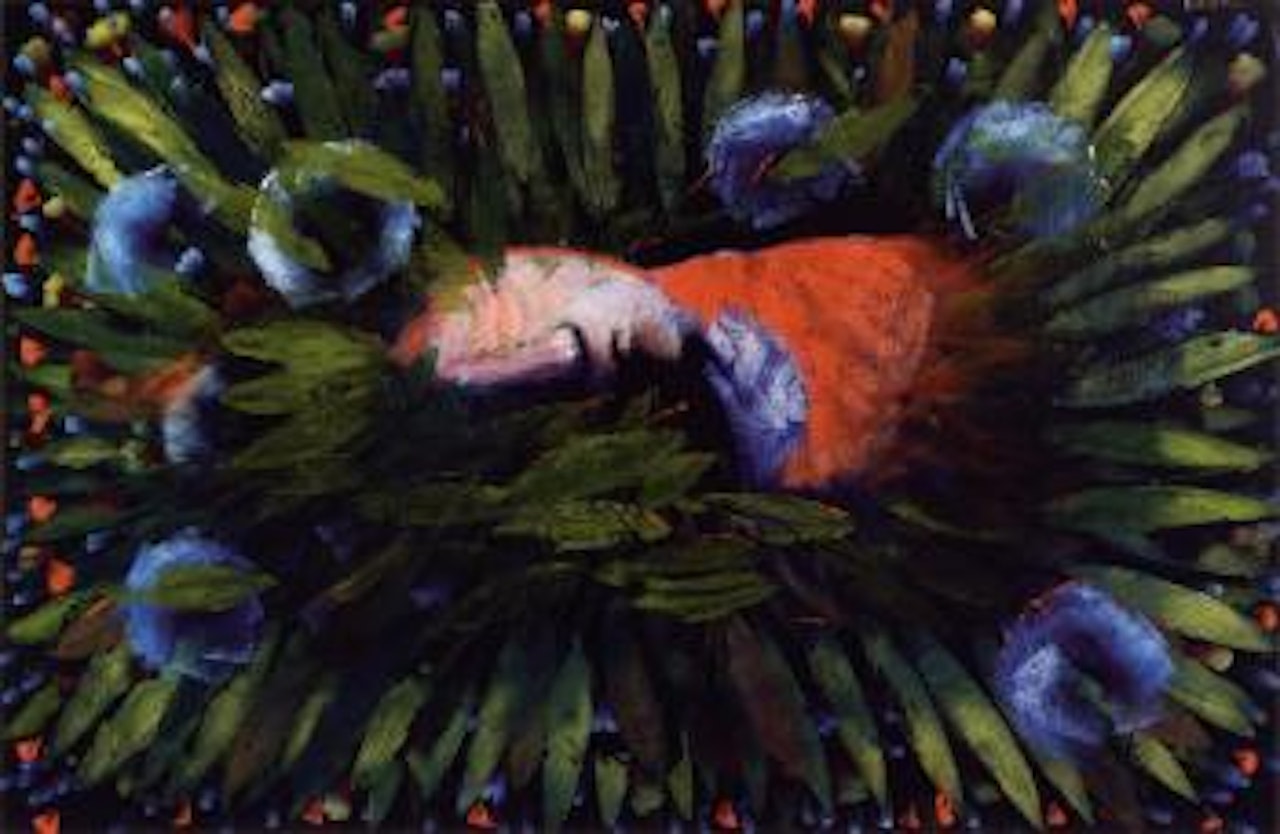 Asleep in the flowers by Charles Blackman